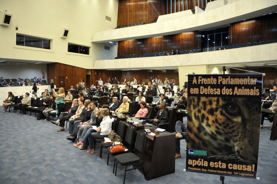 1º Seminário 
