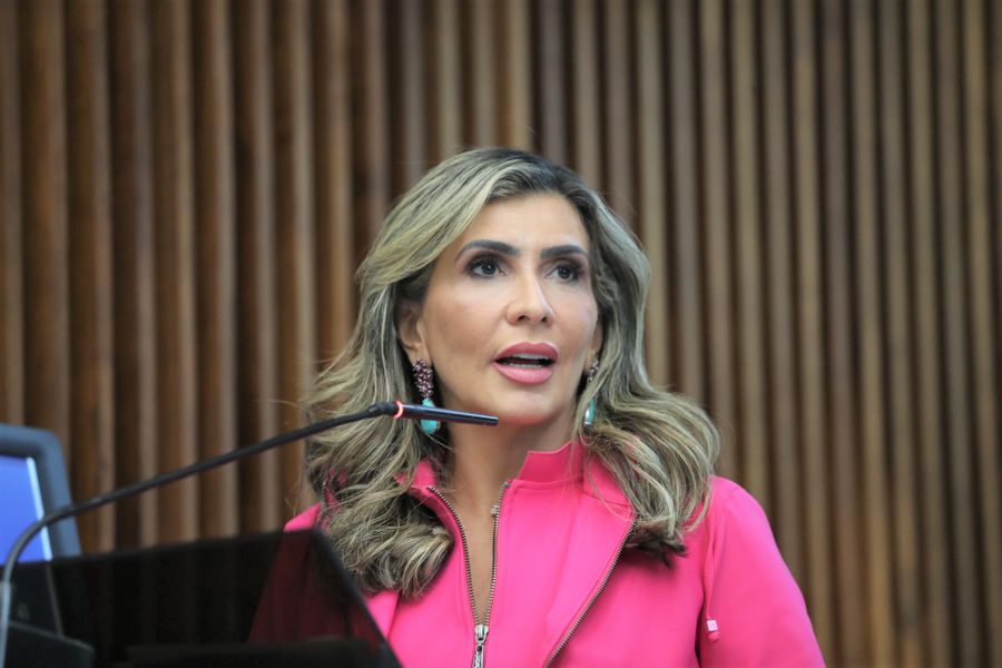 flávia francischini aud pub feminicídio