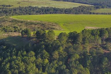Ações de proteção ao meio ambiente serão apresentadas durante o Grande Expediente da sessão plenária desta terça