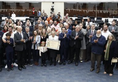 Assembleia Legislativa entrega título de cidadã honorária à jornalista Dirce Alves