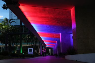 Iluminação da Assembleia Legislativa destaca campanhas de conscientização