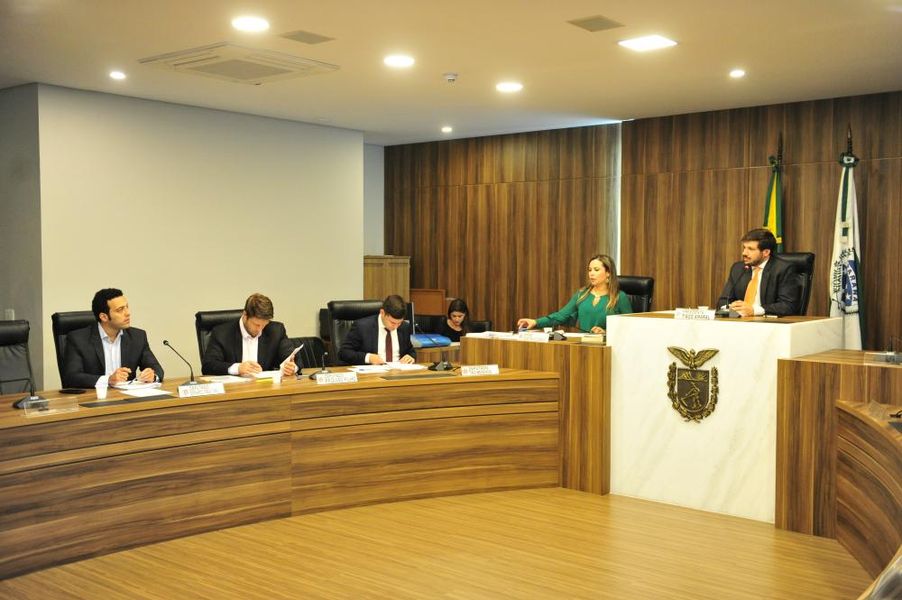 Comissão de Revisão e Consolidação Legislativa