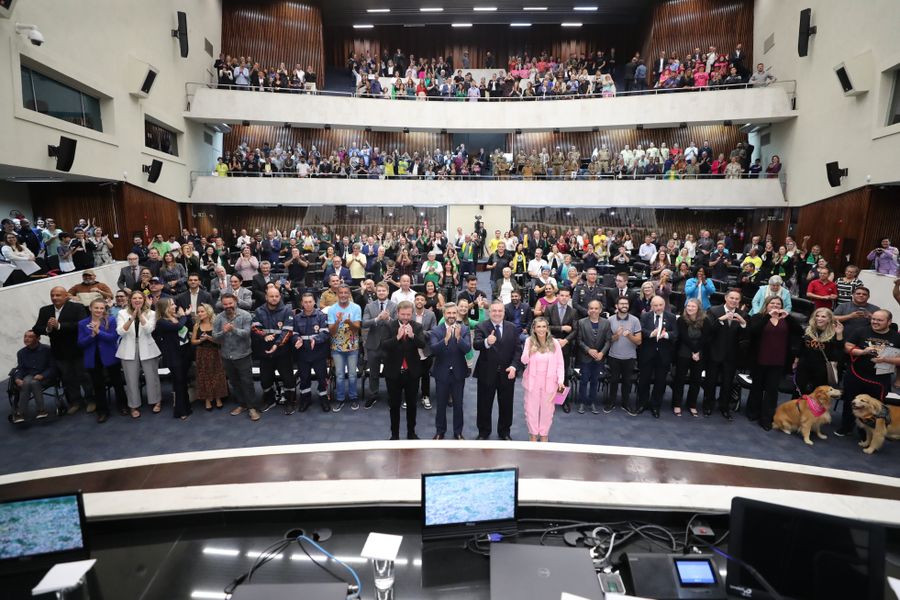 Solene Curitiba