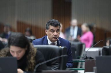 Proposta em trâmite na Assembleia Legislativa quer regulamentar o sepultamento de cães e gatos em cemitérios