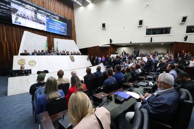 Comissão Especial discutirá projeto que trata da classificação do tabaco produzido no Paraná