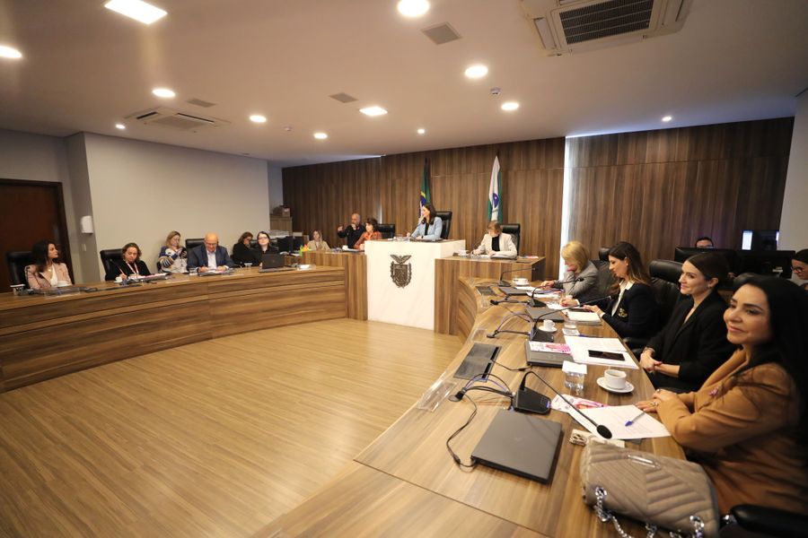 aud pub climatério