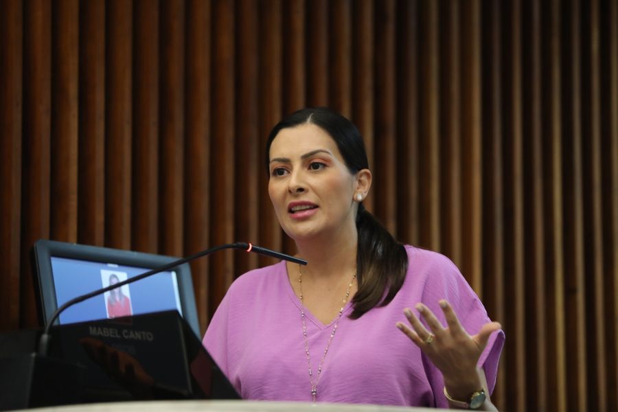 Bancada Feminina leis combate violencia contra mulher 2