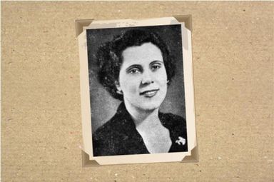 Participação feminina na Assembleia Legislativa cresceu ao longo da história
