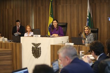 Em sessão comandada por deputadas, CCJ aprova projetos que instituem políticas públicas para mulheres