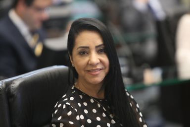 Presidente da Comissão de Defesa dos Direitos da Mulher presta contas do ano de 2021