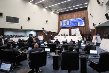 Aprovado projeto para promover a adoção responsável de animais domésticos no Paraná