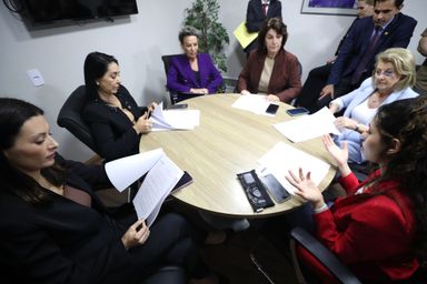 Comissão de Defesa da Mulher aprova projeto que obriga hospitais, clínicas e maternidades a divulgarem informações sobre casos de aborto
