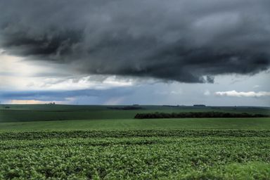 TV Assembleia: nova edição do Semeando Informação aborda impactos do El Niño na agricultura paranaense