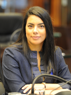 Foto do deputado Claudia Pereira