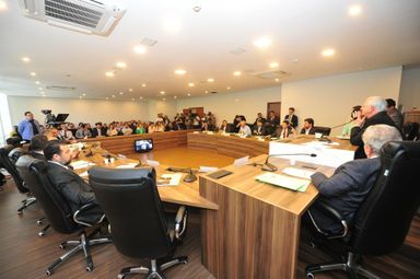 CCJ aprova emendas ao projeto que libera a venda e o consumo de cerveja nos estádios