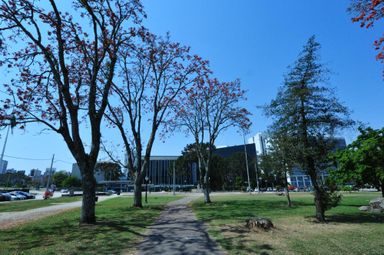 Assembleia vota o Orçamento do Estado para 2019 na sessão plenária desta segunda-feira (3)