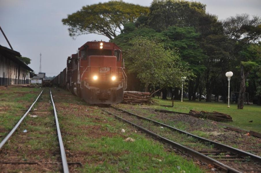 trem1