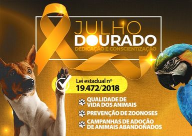 Julho Dourado é o mês dedicado à reflexão sobre a saúde animal e prevenção de zoonoses