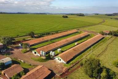 Audiência pública debate, nesta terça (12), PL do governo que muda legislação sobre licenciamento ambiental no PR