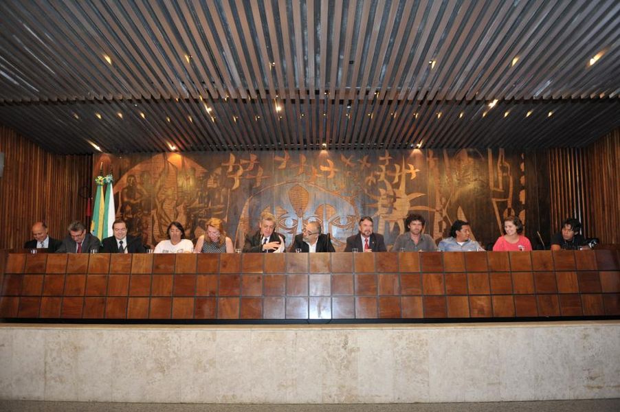 Audiência pública discute situação dos povos indígenas no Paraná.