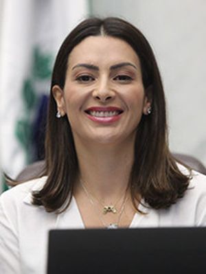 Foto do deputado Mabel Canto