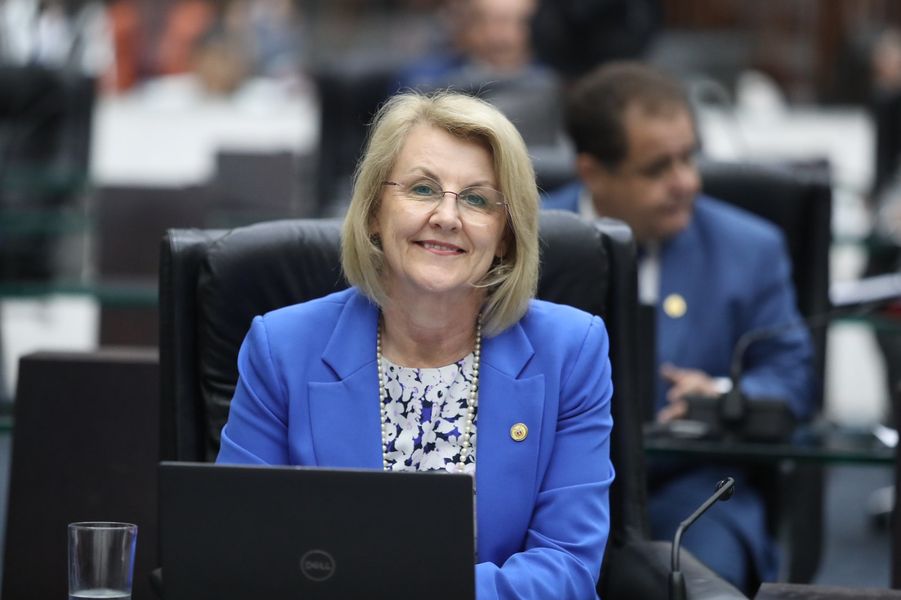 huçulak PL proteção crianças