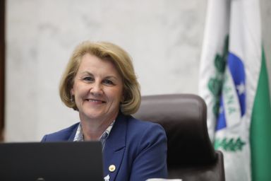 Partos prematuros e saúde materno-infantil são tema de audiência pública na Assembleia