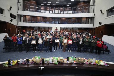 Assembleia Legislativa homenageia cooperativas da Agricultura Familiar e da Economia Solidária do Paraná