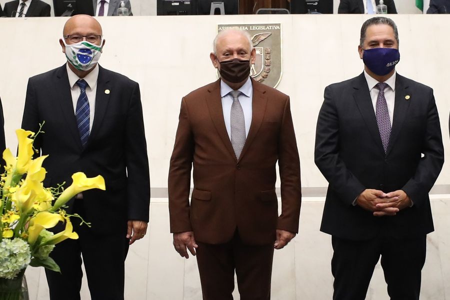 comissão executiva