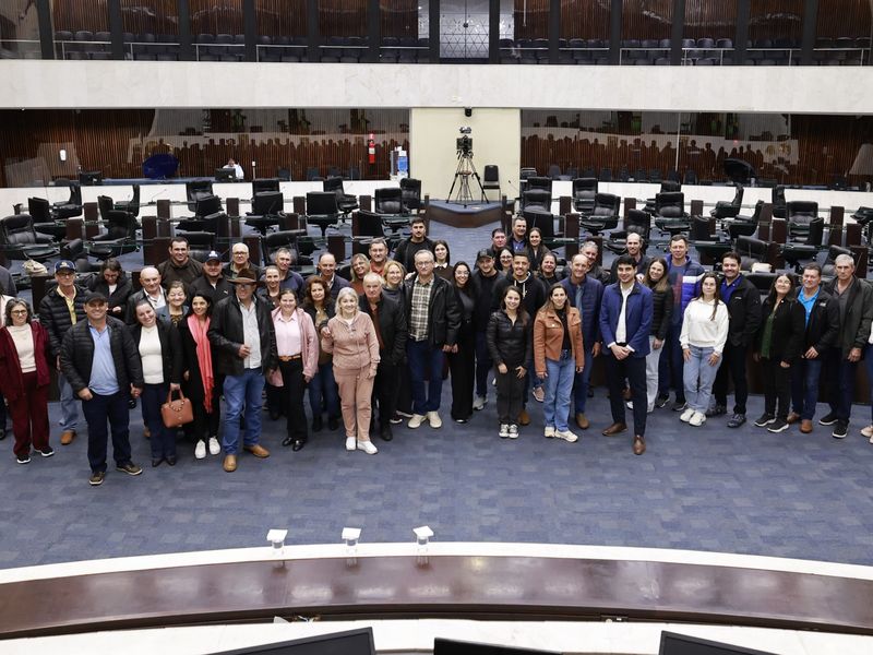 balanaço visita 1sem 2026