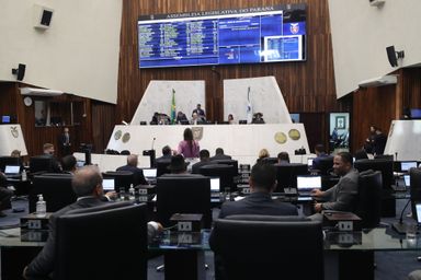 Assembleia garante criação do Conselho dos Povos Indígenas