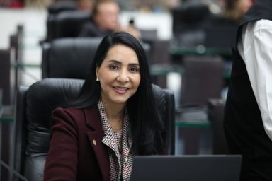 No Junho Violeta, deputada Cantora Mara Lima (REP) destaca o combate à violência financeira contra os Idosos