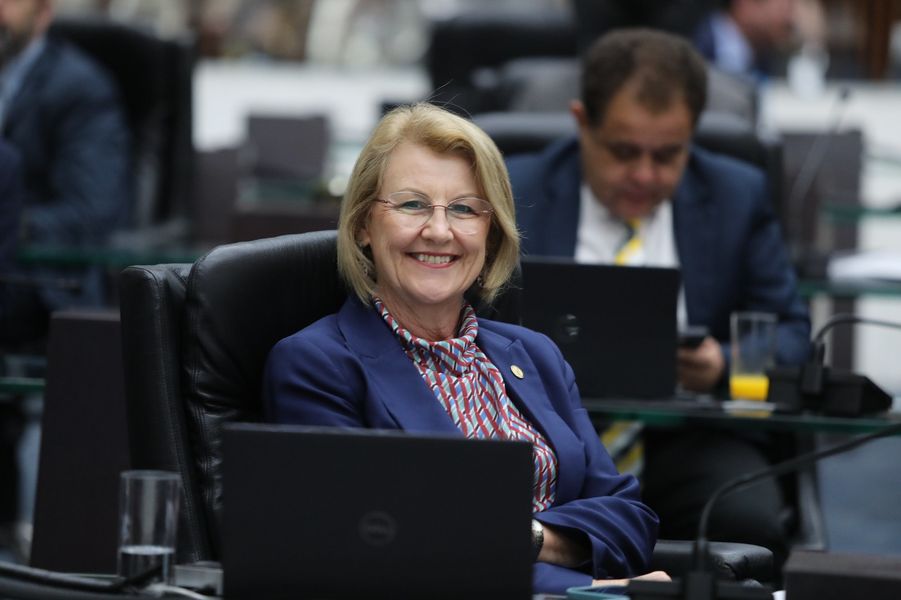 huçulak emendas