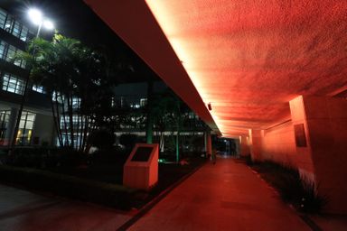 Assembleia Legislativa do Paraná promoveu a conscientização e apoiou campanhas através das cores