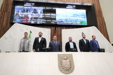 Assembleia Legislativa promove e reconhece valores do jiu-jítsu no Paraná