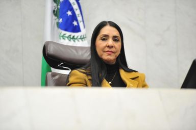 Presidente da Comissão de Defesa dos Direitos da Mulher da Alep comenta caso de feminicídio no DF
