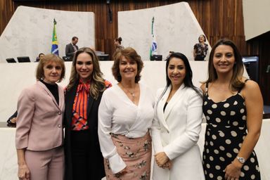 Deputadas paranaenses prestam homenagem às mulheres