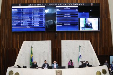 Agressores serão obrigados a arcar com despesas veterinárias de animais vítimas de maus-tratos