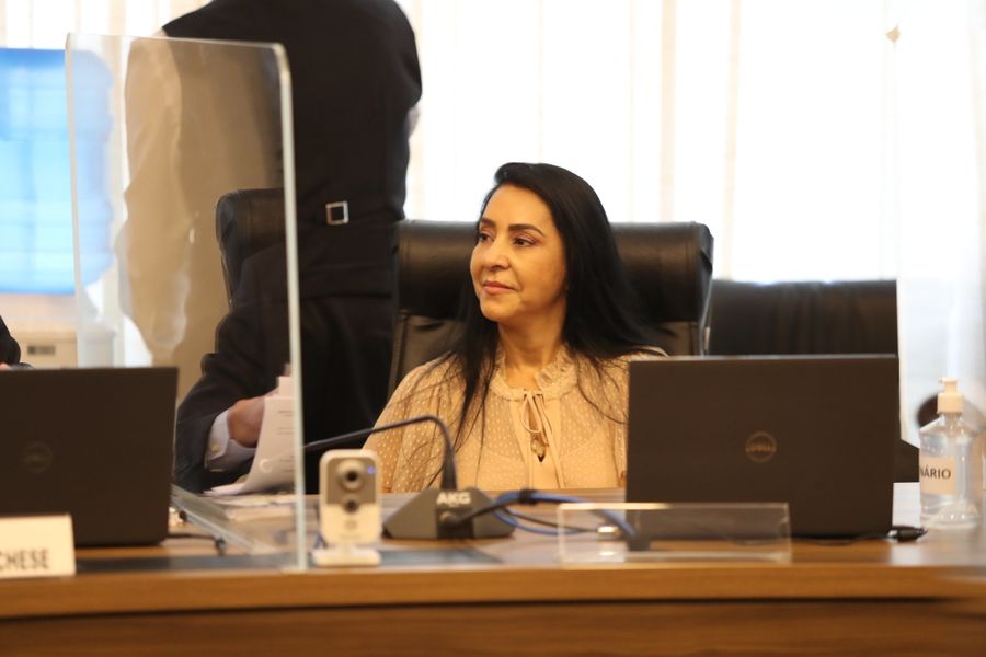 Mara Lima Campanha Combate violência mulher ccj'