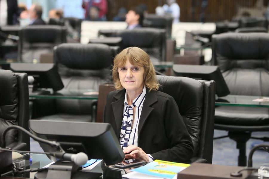 Deputada Luciana Rafagnin