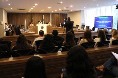 Debate na Assembleia amplia discussão sobre inclusão de meninas e mulheres nas ciências exatas e na pesquisa científica