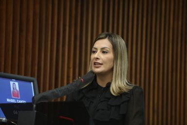 Projeto que garante a presença de doulas em maternidades da rede pública e privada é aprovado em 1º turno