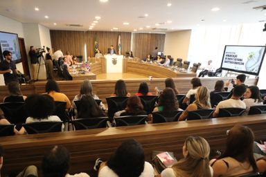 Assembleia Legislativa promove audiência pública sobre violência obstétrica e debate modernização do atendimento à mulher