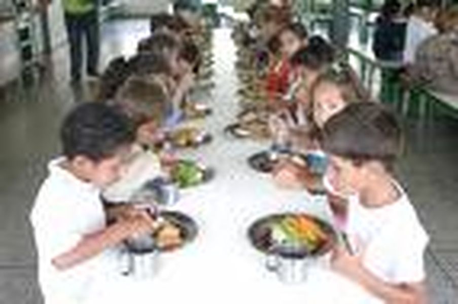 Projeto Obriga que Escolas Públicas e Privadas Tenham Nutricionistas