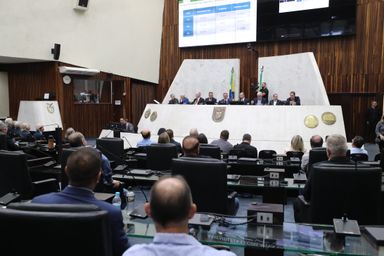 Assembleia debate PEC 231/2019, que trata do Fundo de Participação dos Municípios e dos Fundos Constitucionais destinados às Regiões Sul e Sudeste