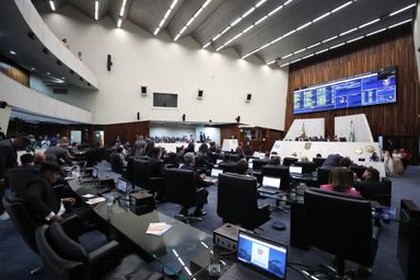 Deputados aprovam projeto que institui o Programa Mãos Amigas