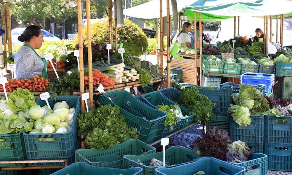 feira livre