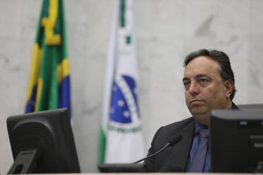 Concessionárias terão que realizar resgate de animais acidentados em rodovias pedagiadas