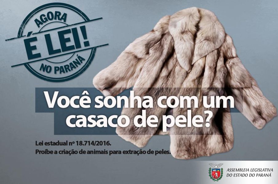 Agora é Lei