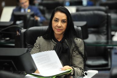 Comissão da Assembleia Legislativa destaca atuação no ano de 2020 na defesa dos direitos da mulher